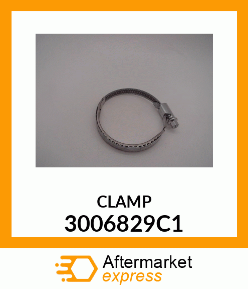 CLAMP 3006829C1