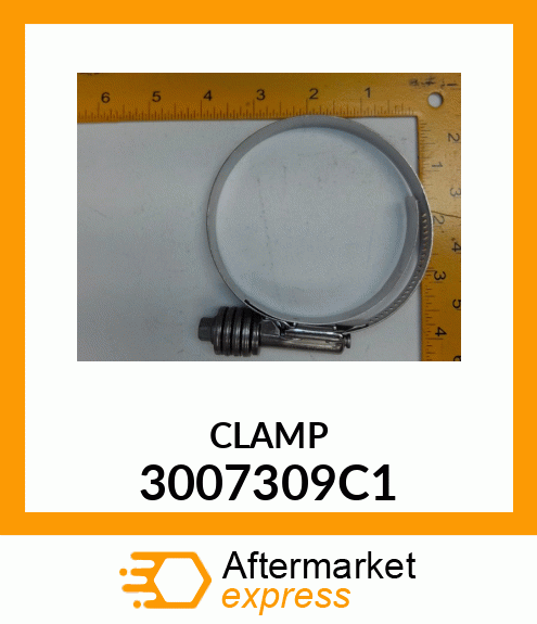 CLAMP 3007309C1