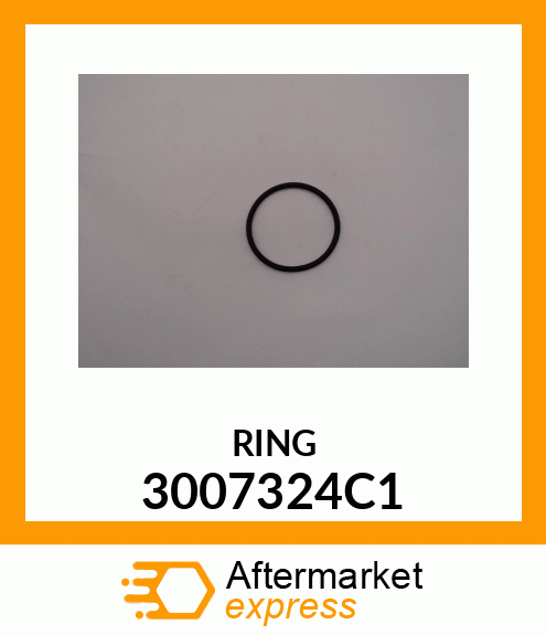 RING 3007324C1