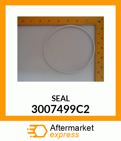 SEAL 3007499C2