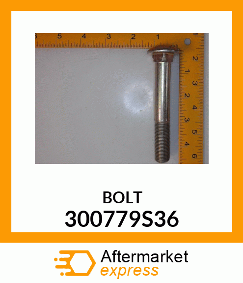 BOLT 300779S36