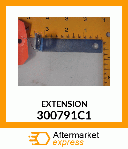 EXTENSION 300791C1