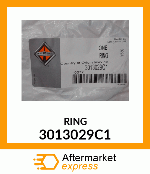 RING 3013029C1