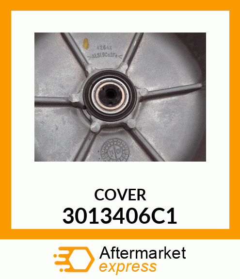 COVER 3013406C1