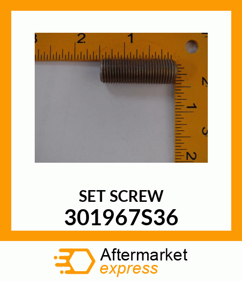 SET SCREW 301967S36