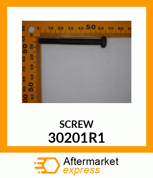 SCREW 30201R1