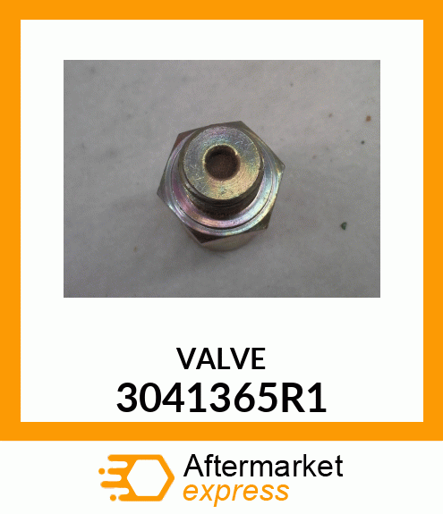 VALVE 3041365R1