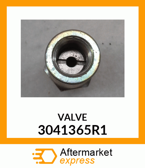 VALVE 3041365R1