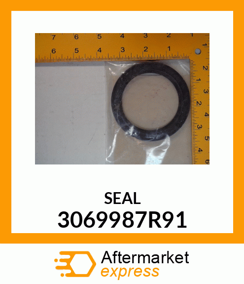 SEAL 3069987R91