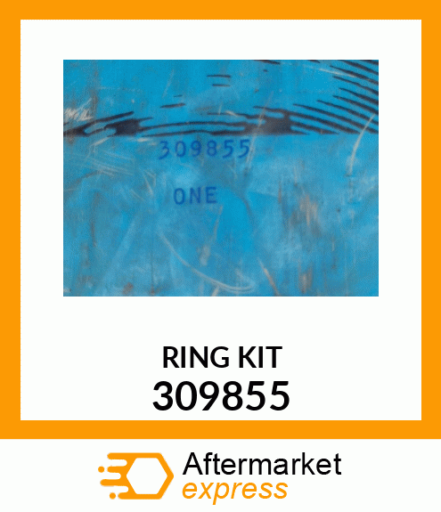 RING KIT 309855