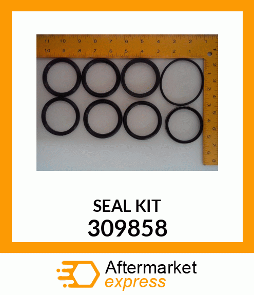 SEAL KIT 309858