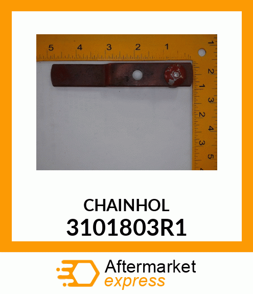 CHAINHOL 3101803R1