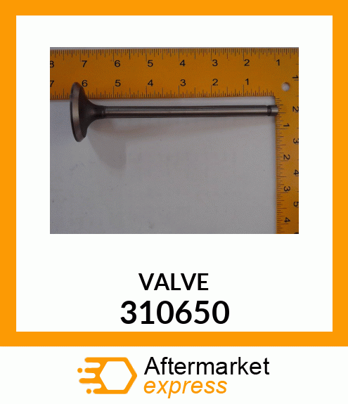 VALVE 310650