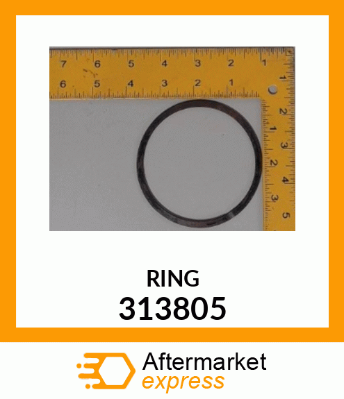 RING 313805