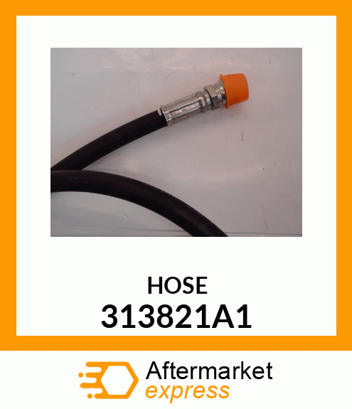 HOSE 313821A1