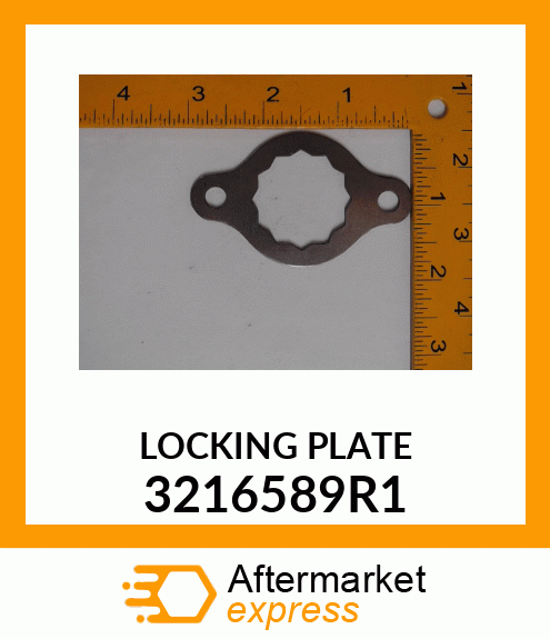 LOCKING PLATE 3216589R1