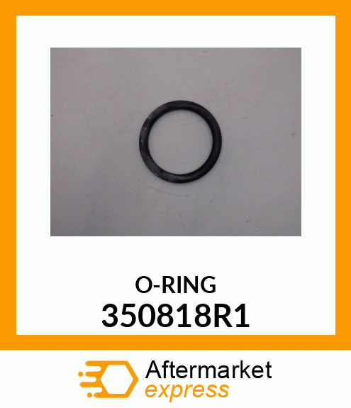 O-RING 350818R1