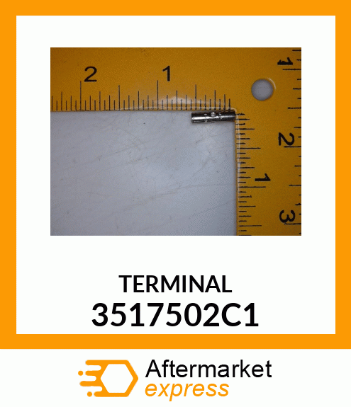 TERMINAL 3517502C1