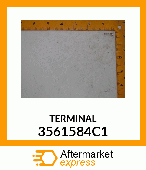 TERMINAL 3561584C1