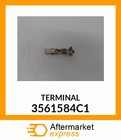 TERMINAL 3561584C1