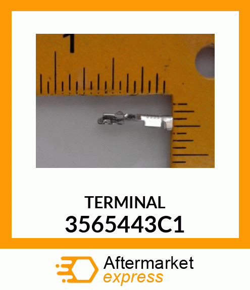 TERMINAL 3565443C1