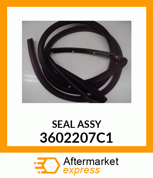 SEAL ASSY 3602207C1