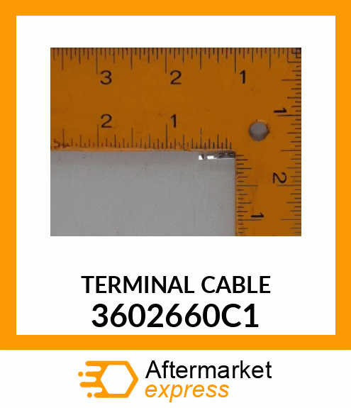 TERMINAL CABLE 3602660C1