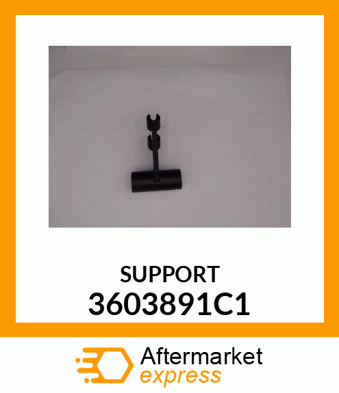 SUPPORT 3603891C1