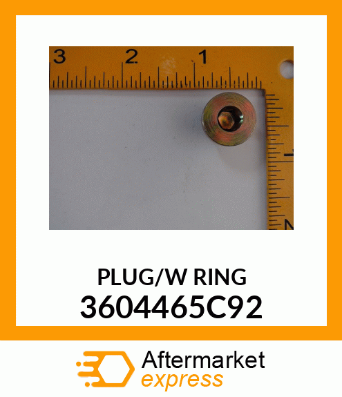 PLUG/W RING 3604465C92