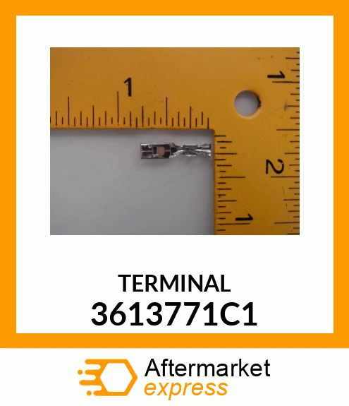 TERMINAL 3613771C1