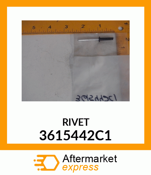 RIVET 3615442C1