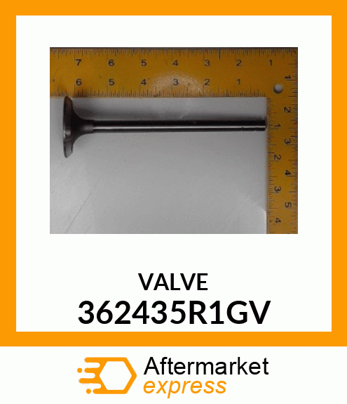 VALVE 362435R1GV