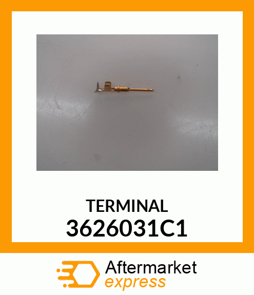 TERMINAL 3626031C1