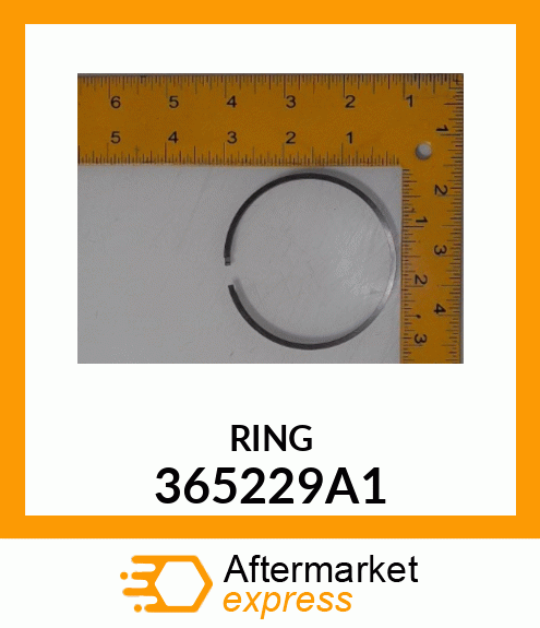 RING 365229A1