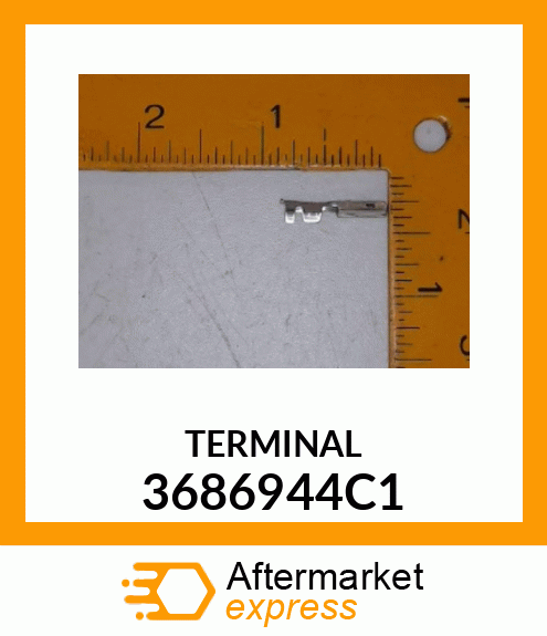 TERMINAL 3686944C1