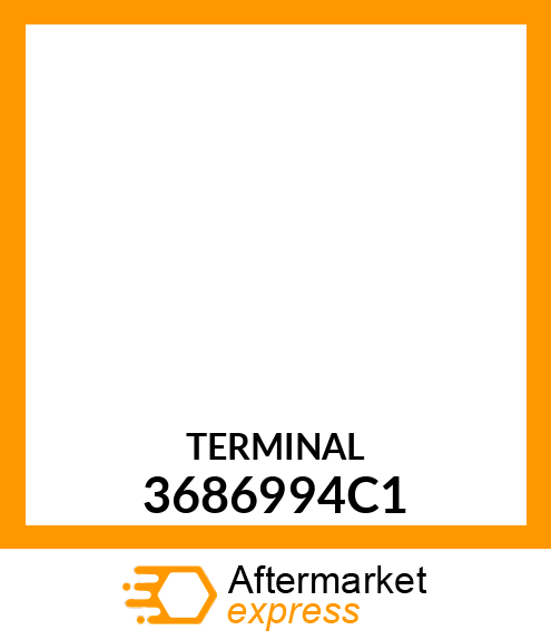 TERMINAL 3686994C1