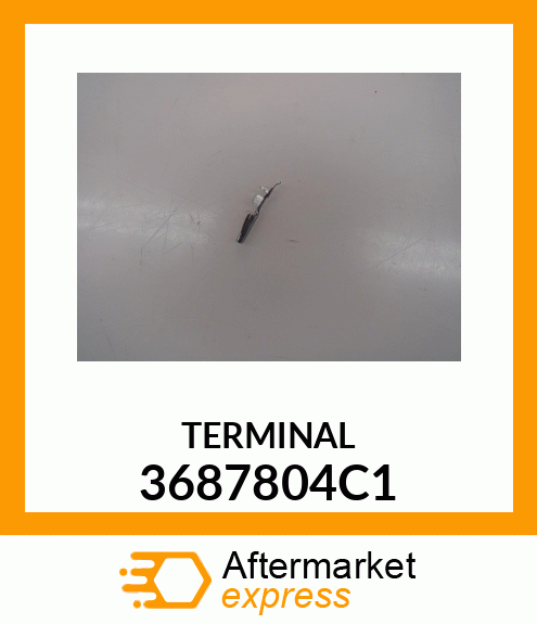 TERMINAL 3687804C1