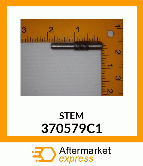 STEM 370579C1