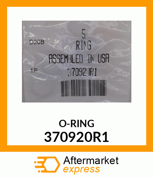 O-RING 370920R1