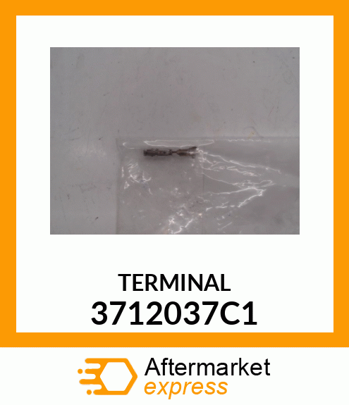 TERMINAL 3712037C1