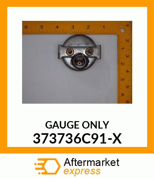 GAUGE ONLY 373736C91-X