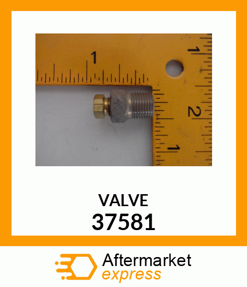 VALVE 37581