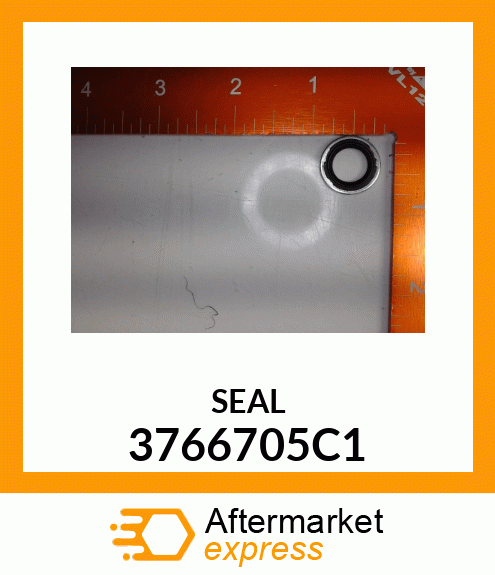 SEAL 3766705C1