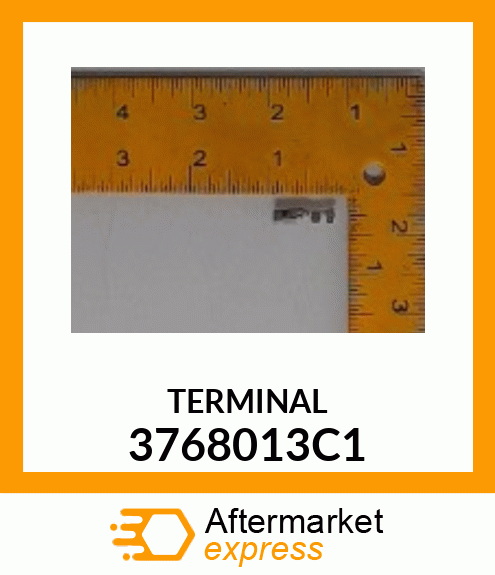 TERMINAL 3768013C1