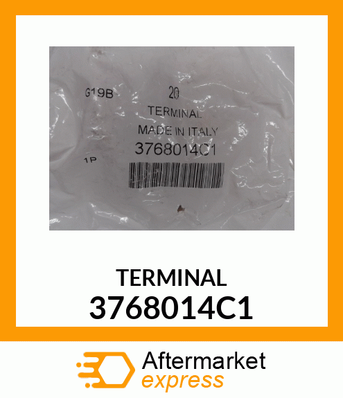 TERMINAL 3768014C1