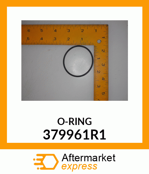 O-RING 379961R1