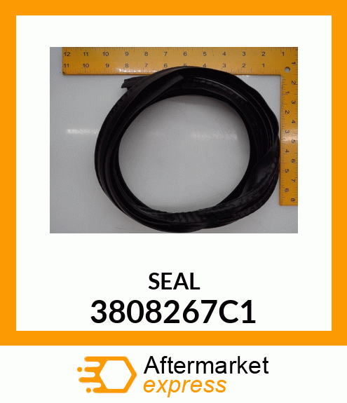 SEAL 3808267C1