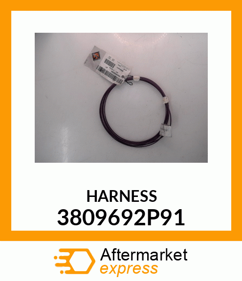 HARNESS 3809692P91