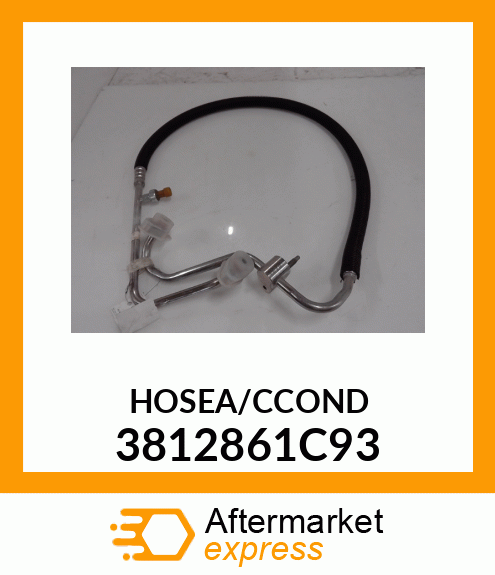 HOSEA/CCOND 3812861C93