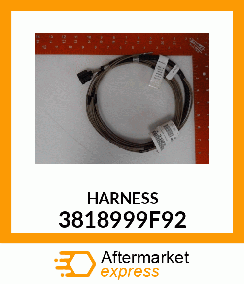 HARNESS 3818999F92